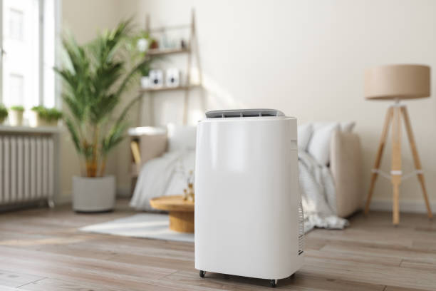 Best VRF (Variable Refrigerant Flow) Systems in Rancho San Diego, CA